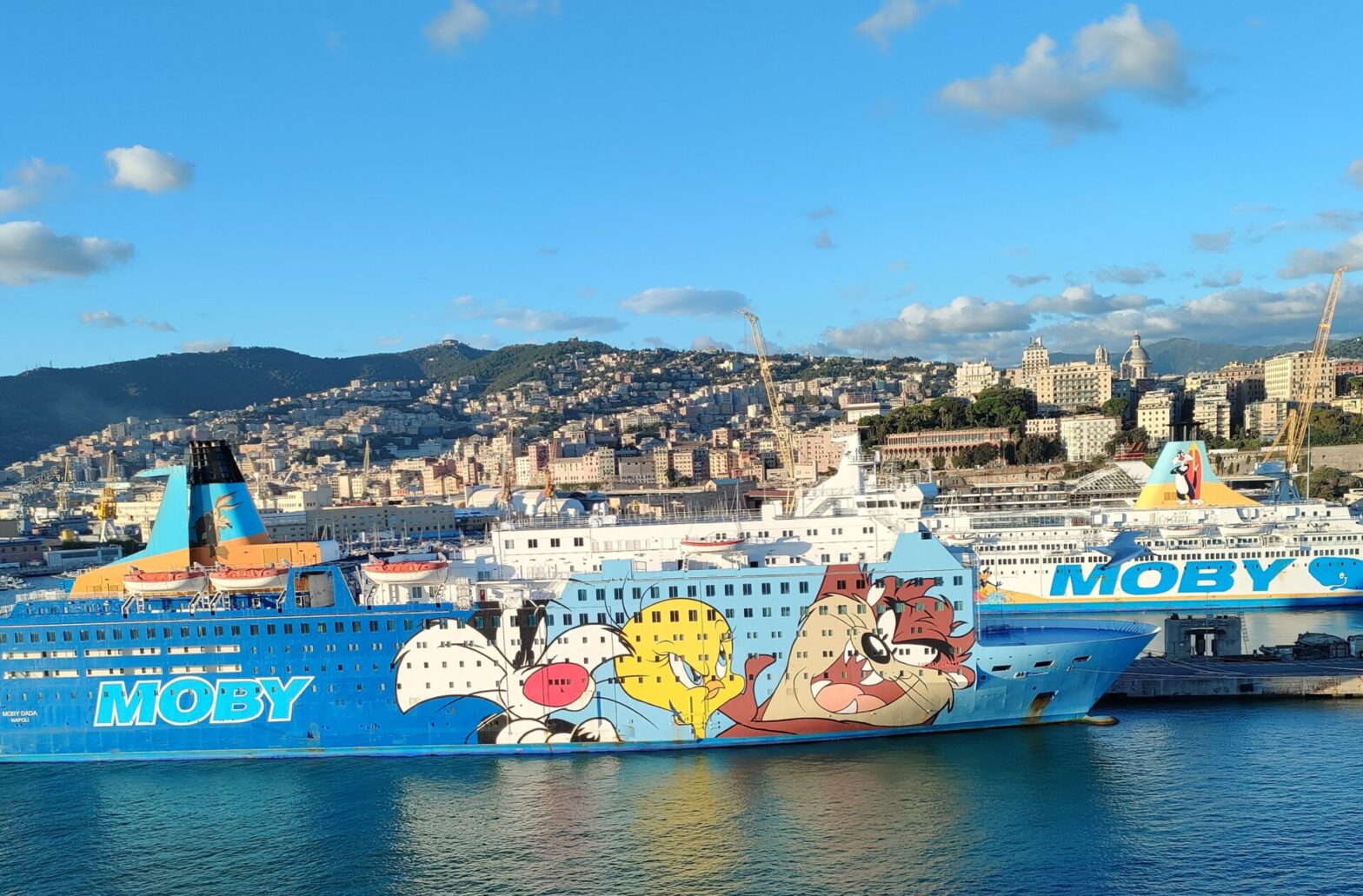Promy24 ferry Corsica